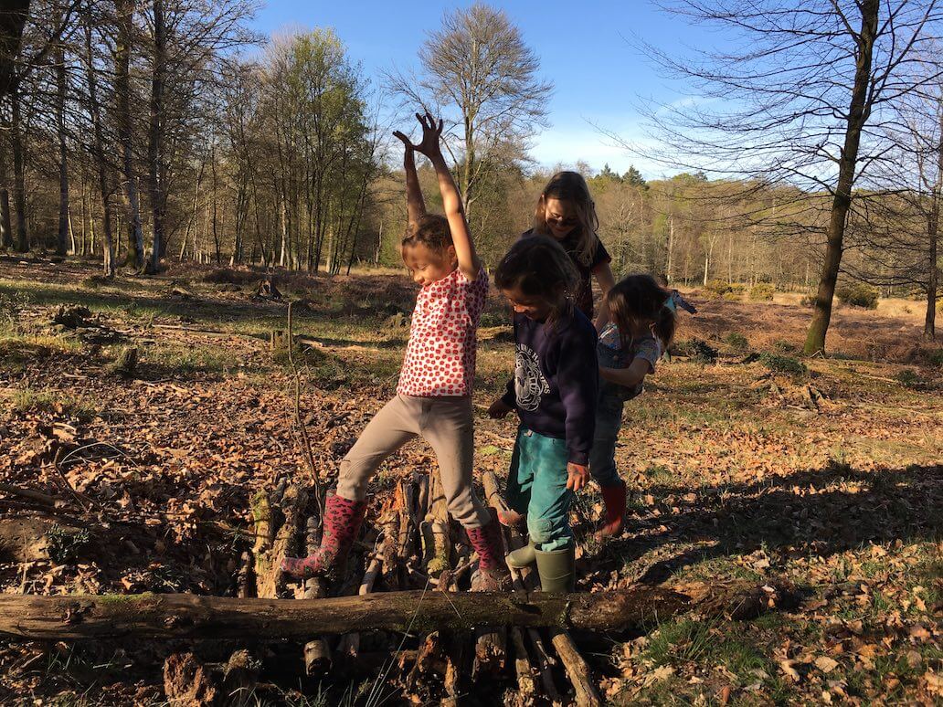Fun for all the family in the New Forest