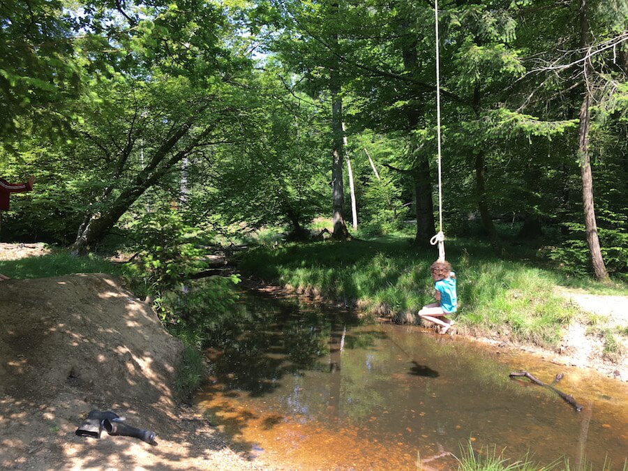 Rope Swing over a River - New Forest