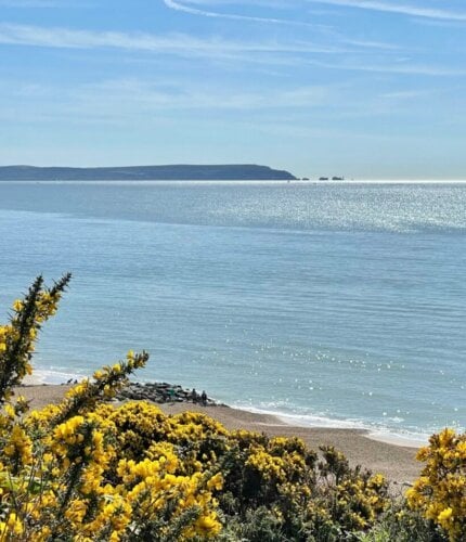 New Forest Escapes - Steps to add eco features to your holiday home