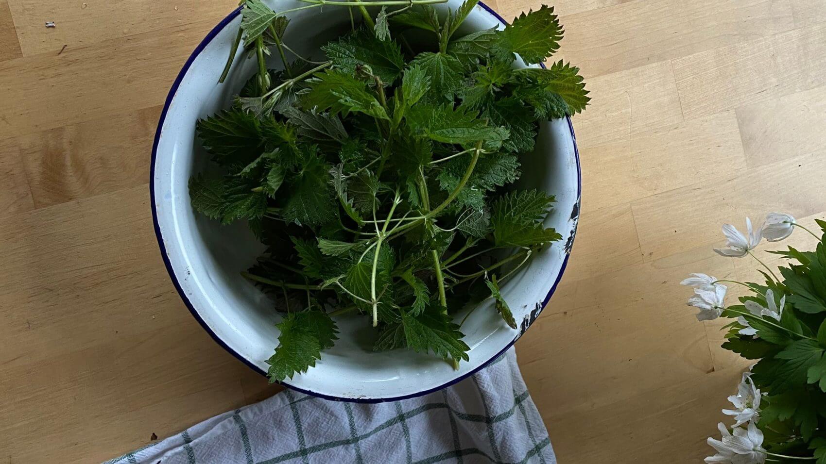 Bowl of nettles