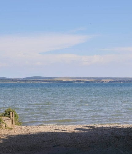 New Forest Escapes 