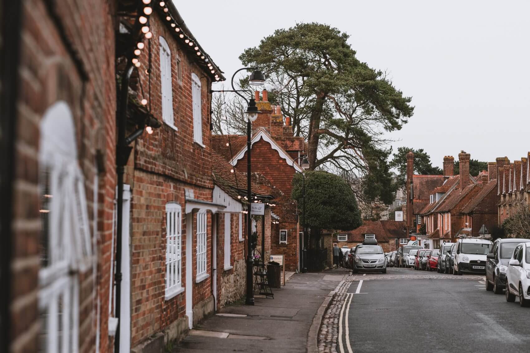 New Forest Escapes 