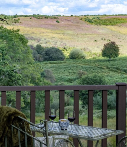 New Forest Escapes 