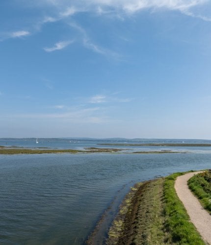 New Forest Escapes 