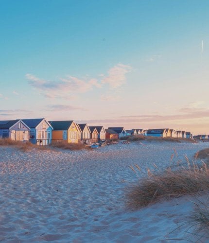 New Forest Escapes 