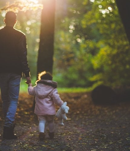 New Forest Escapes - October Half Term Getaways