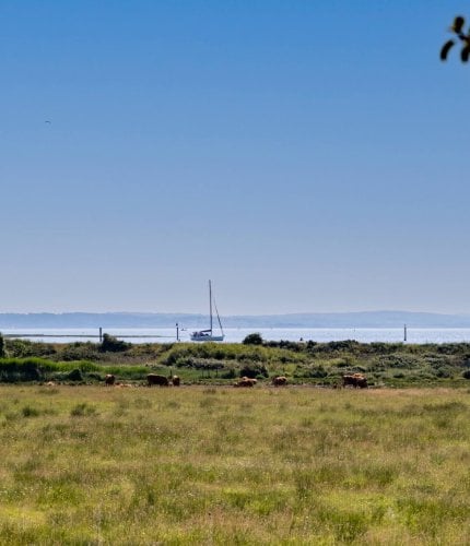 New Forest Escapes - Webinar – Fire Safety for Holiday Lets