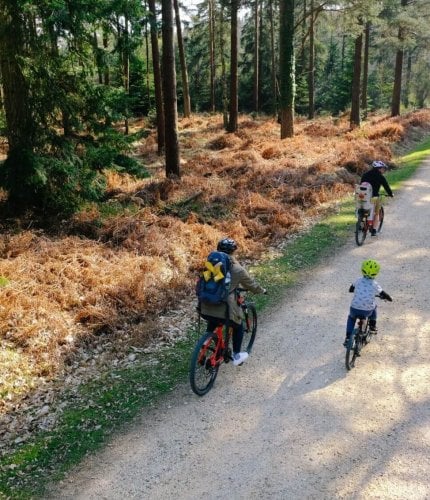 New Forest Escapes - Family Friendly Holidays In The New Forest