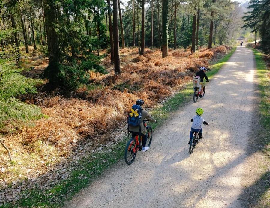 Family bike ride in the New Forest