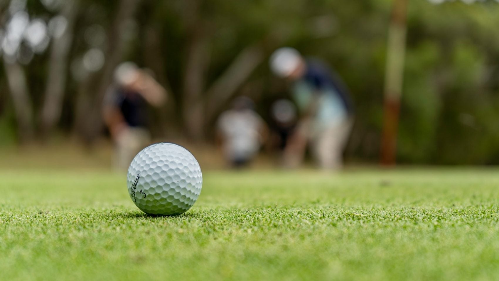 Golf ball with players in the background
