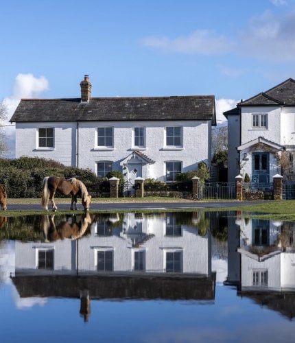 New Forest Escapes - Hatchet Pond Cottage