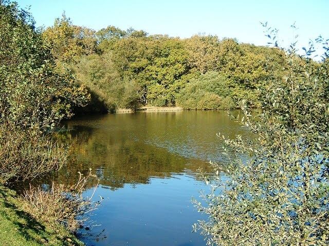 Eyeworth Pond