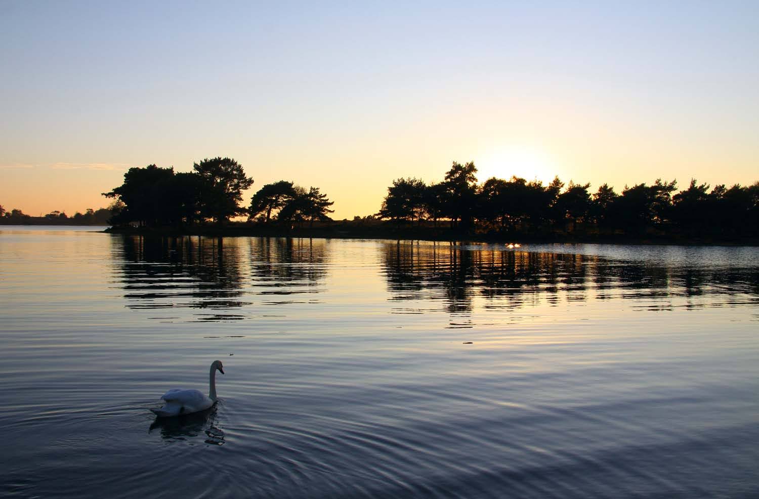 Hatchet pond at sunset