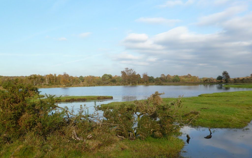 Whitten Pond