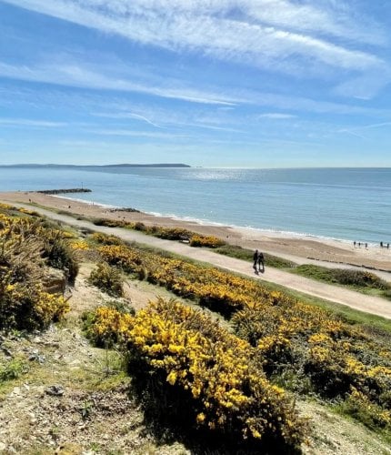 New Forest Escapes 