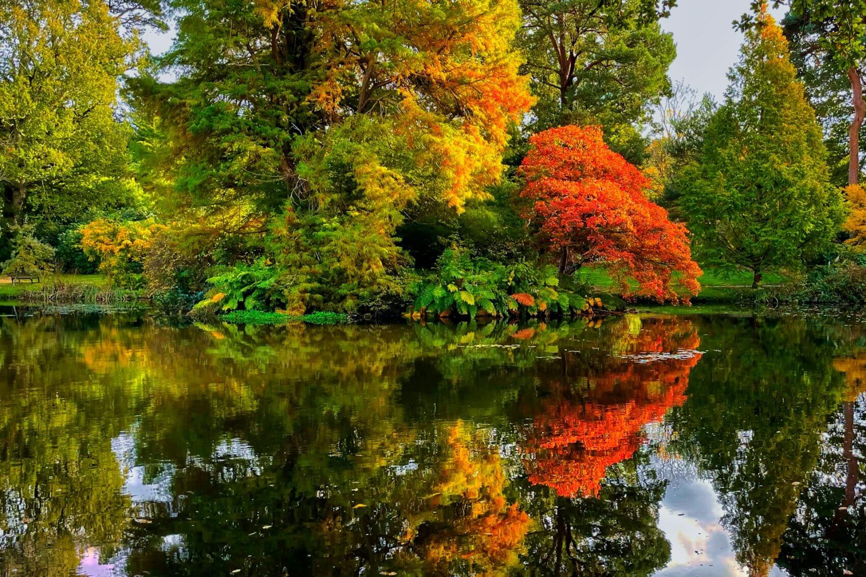 Autumnal colours at Exbury Gardens